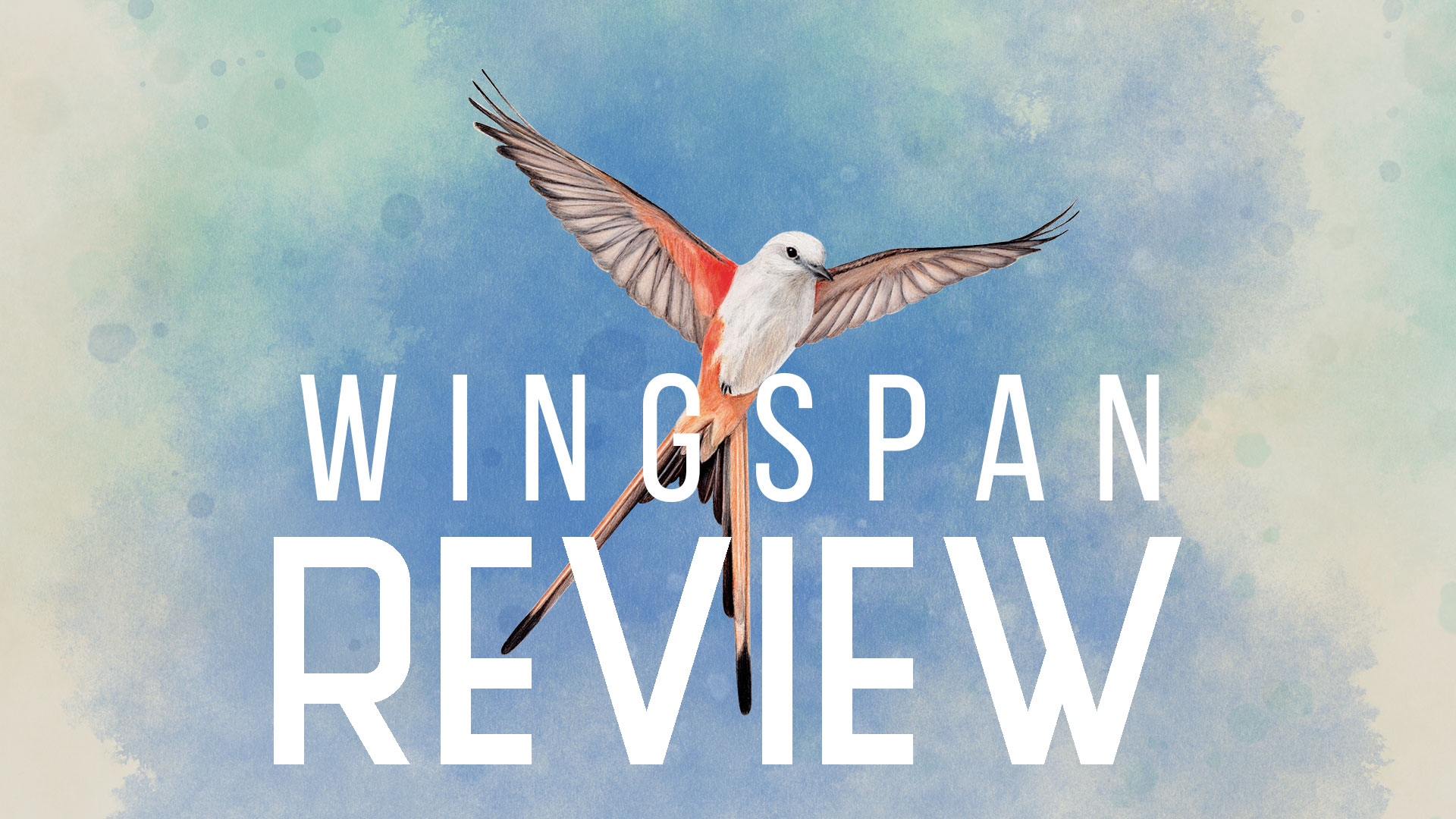 wingspan.jpg
