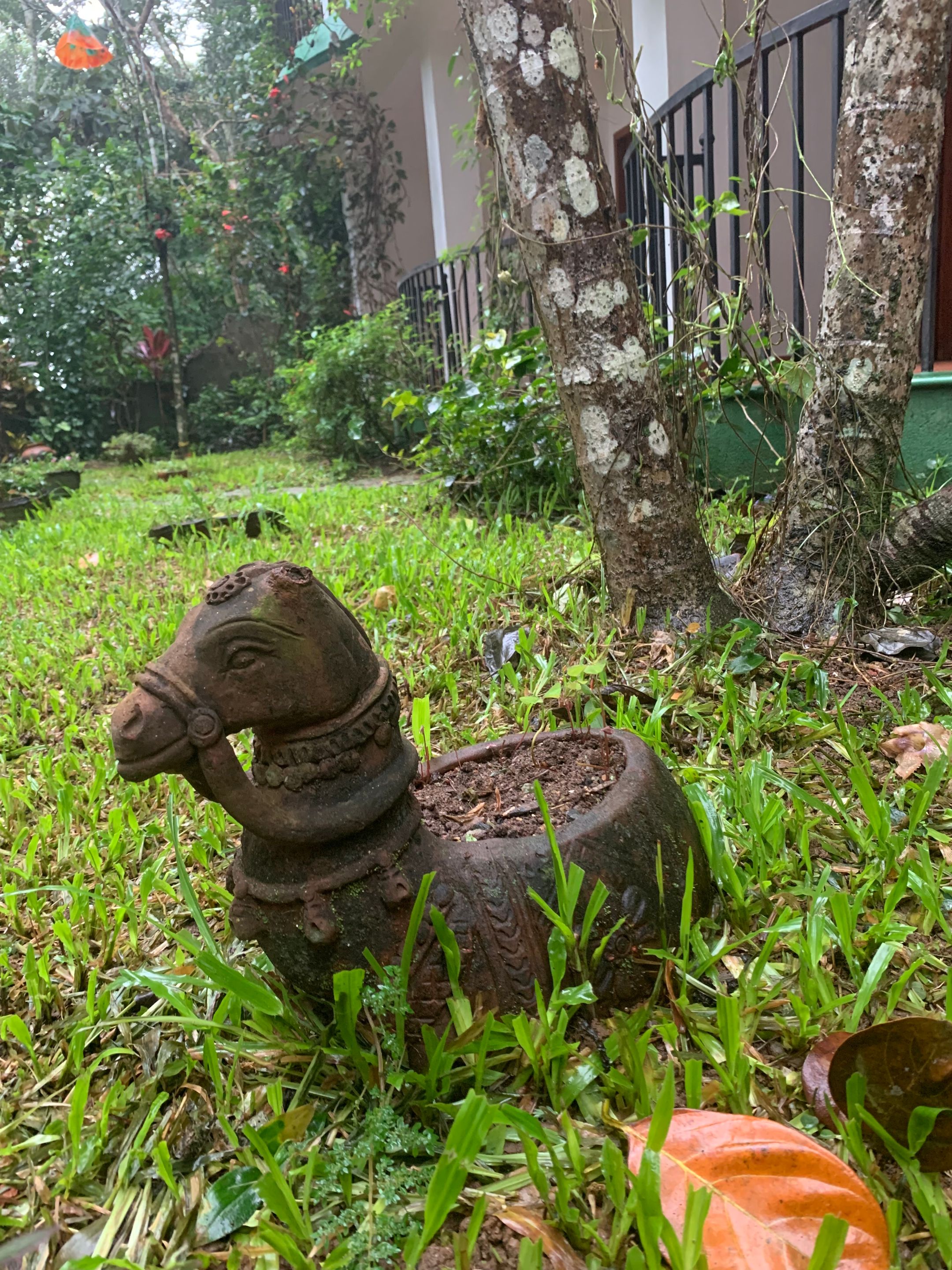 Chrissies Garten.JPG