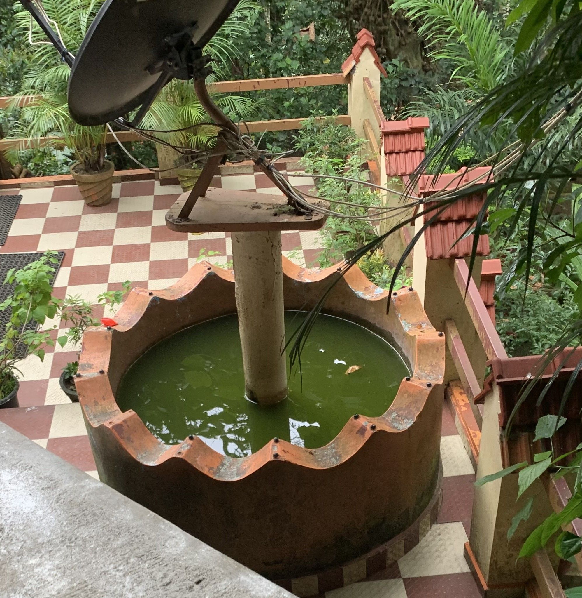 ayurveda garten (1).JPG