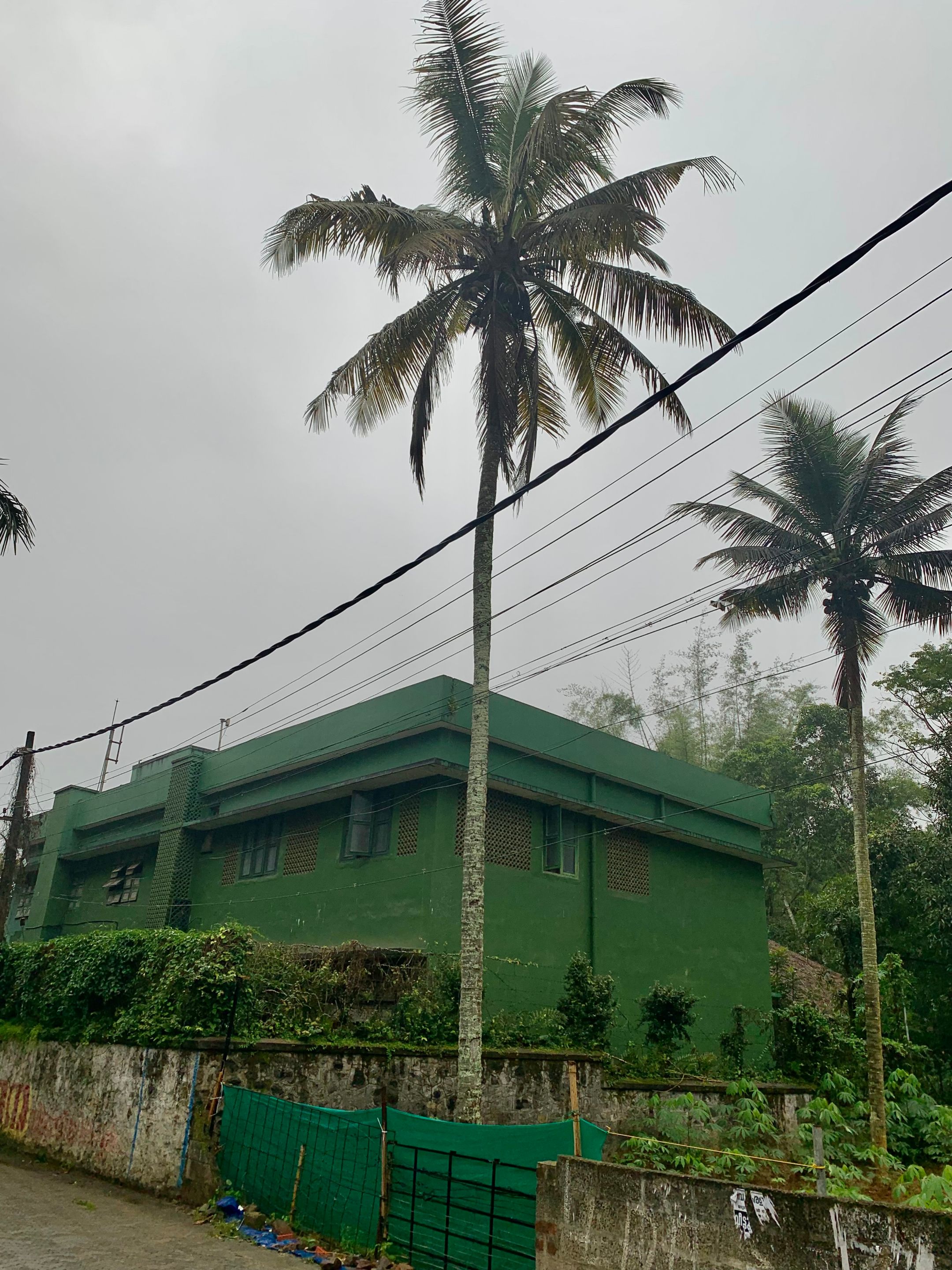 Thekkady Strasse (2).JPG