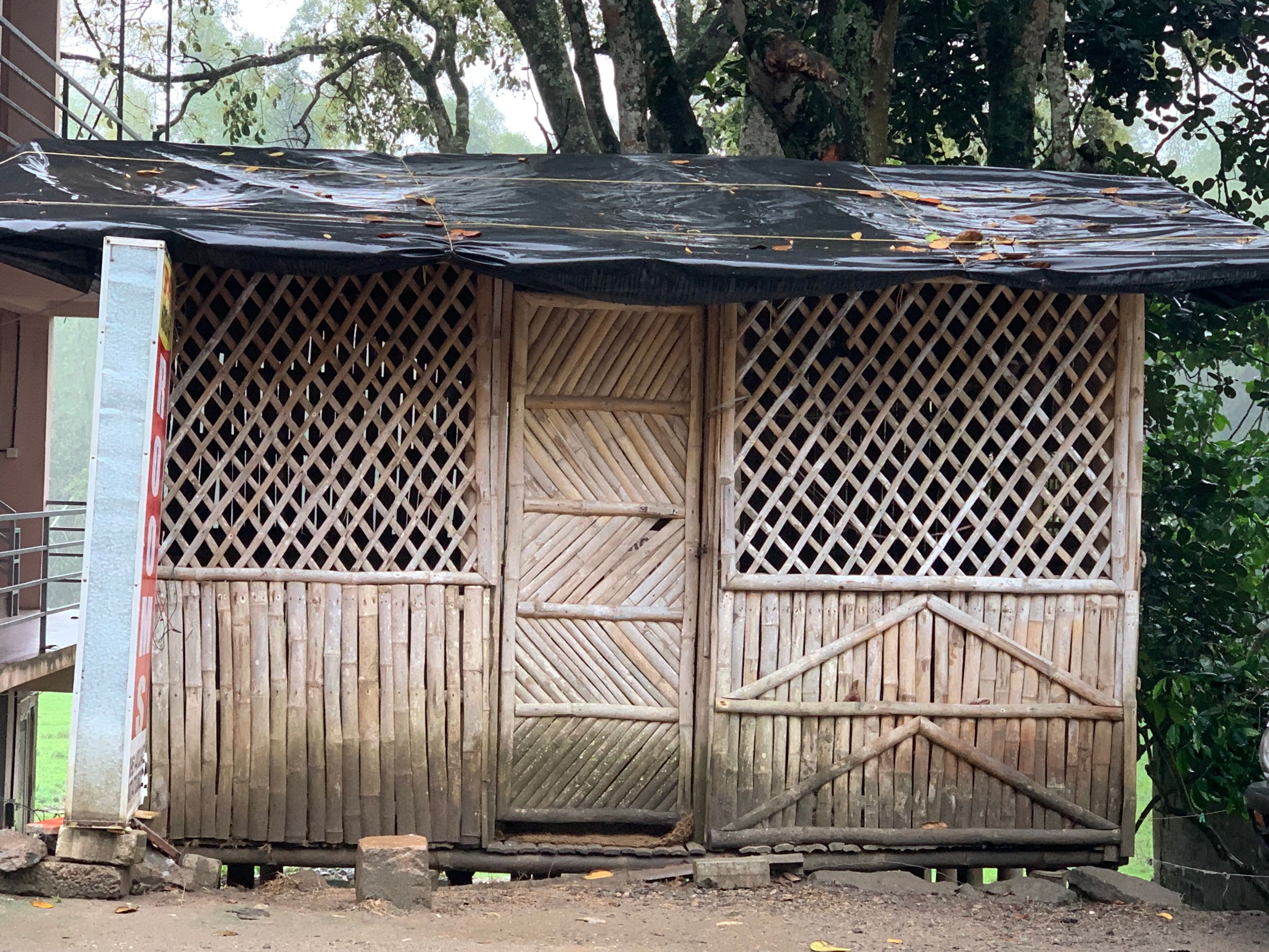 Thekkady Strasse (8).JPG