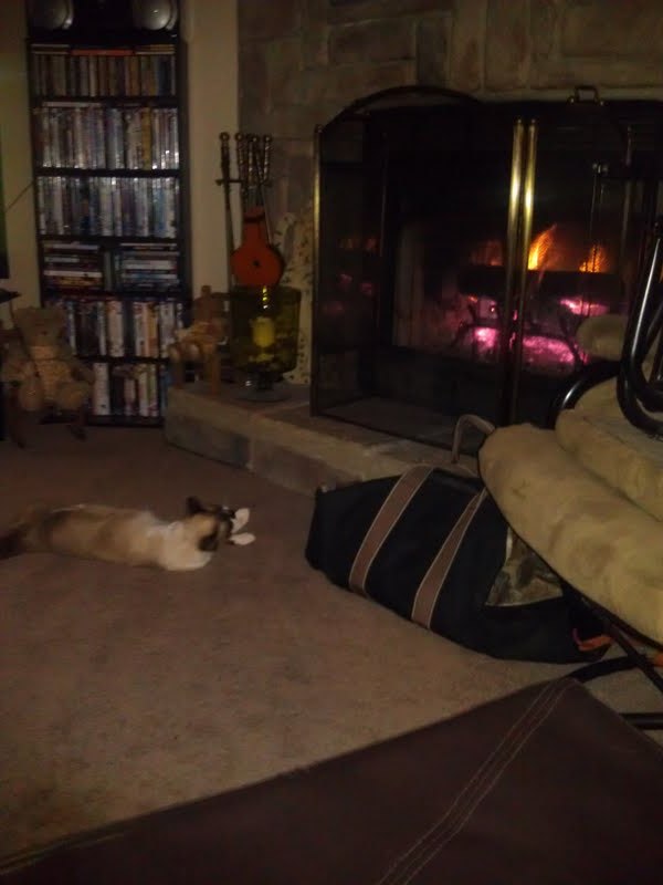 Fireplace Kitty 2012.jpg