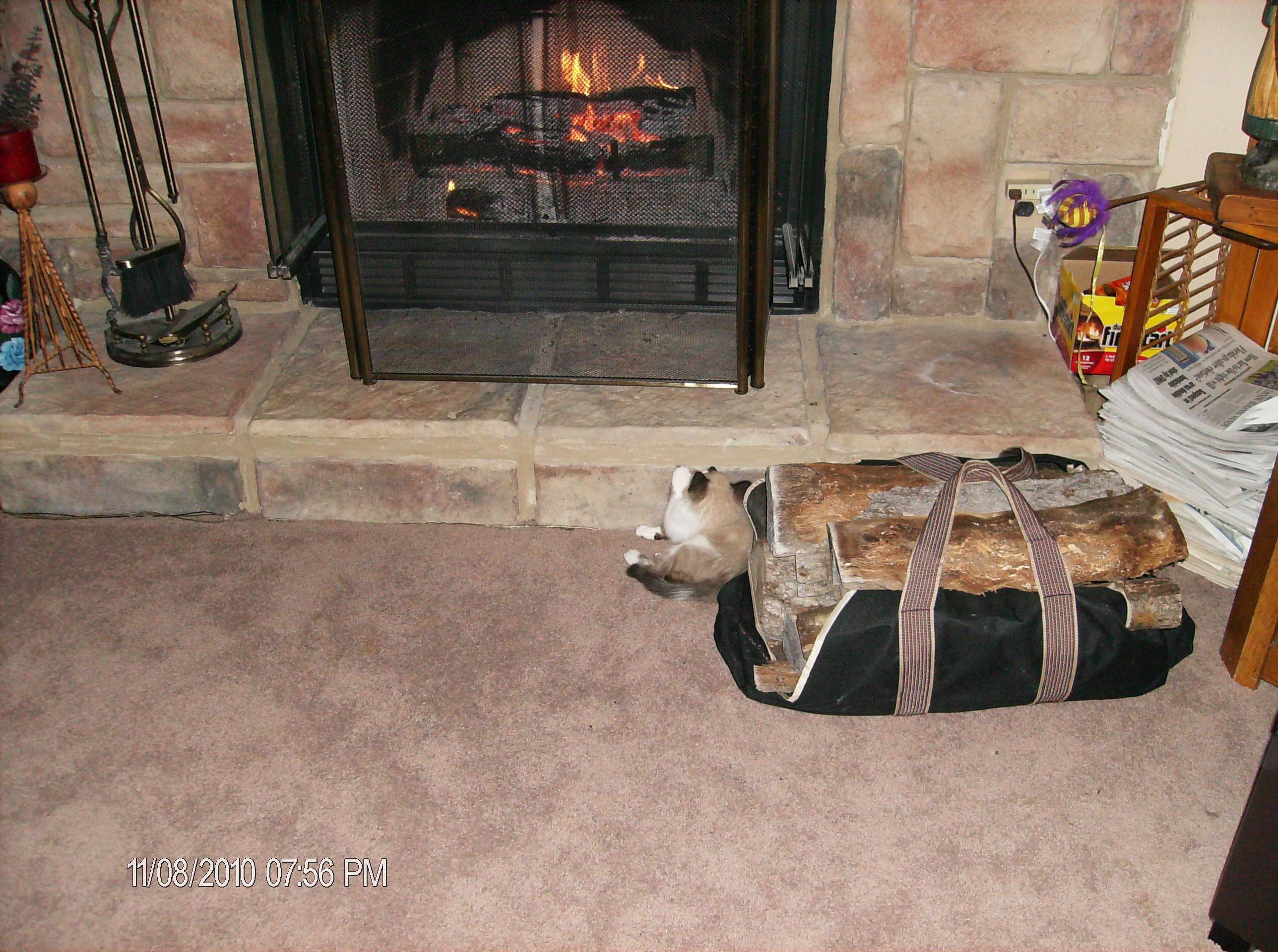 Fireplace Kitty (2).JPG