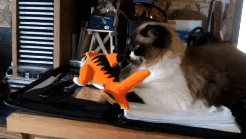20230320_203616.gif