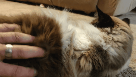 1000009150.gif