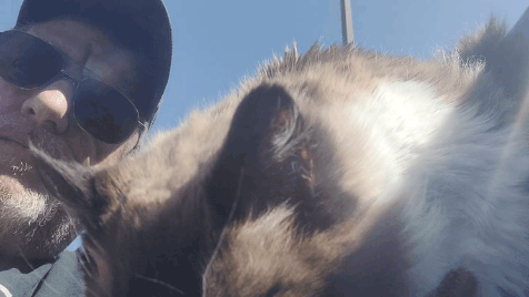 GIF_20250322_143431_151.gif