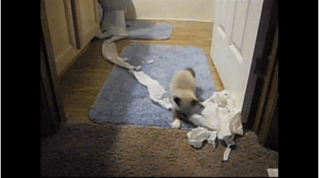 20230526_112217.gif