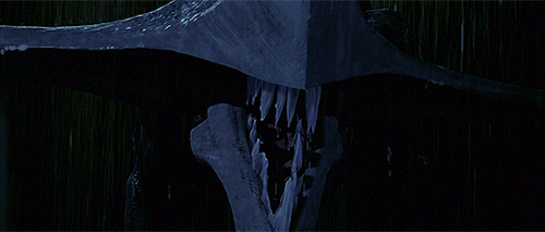 tumblr_cdfc0f778c616979ad326dfcbdcadda9_1d5a7770_500.gif