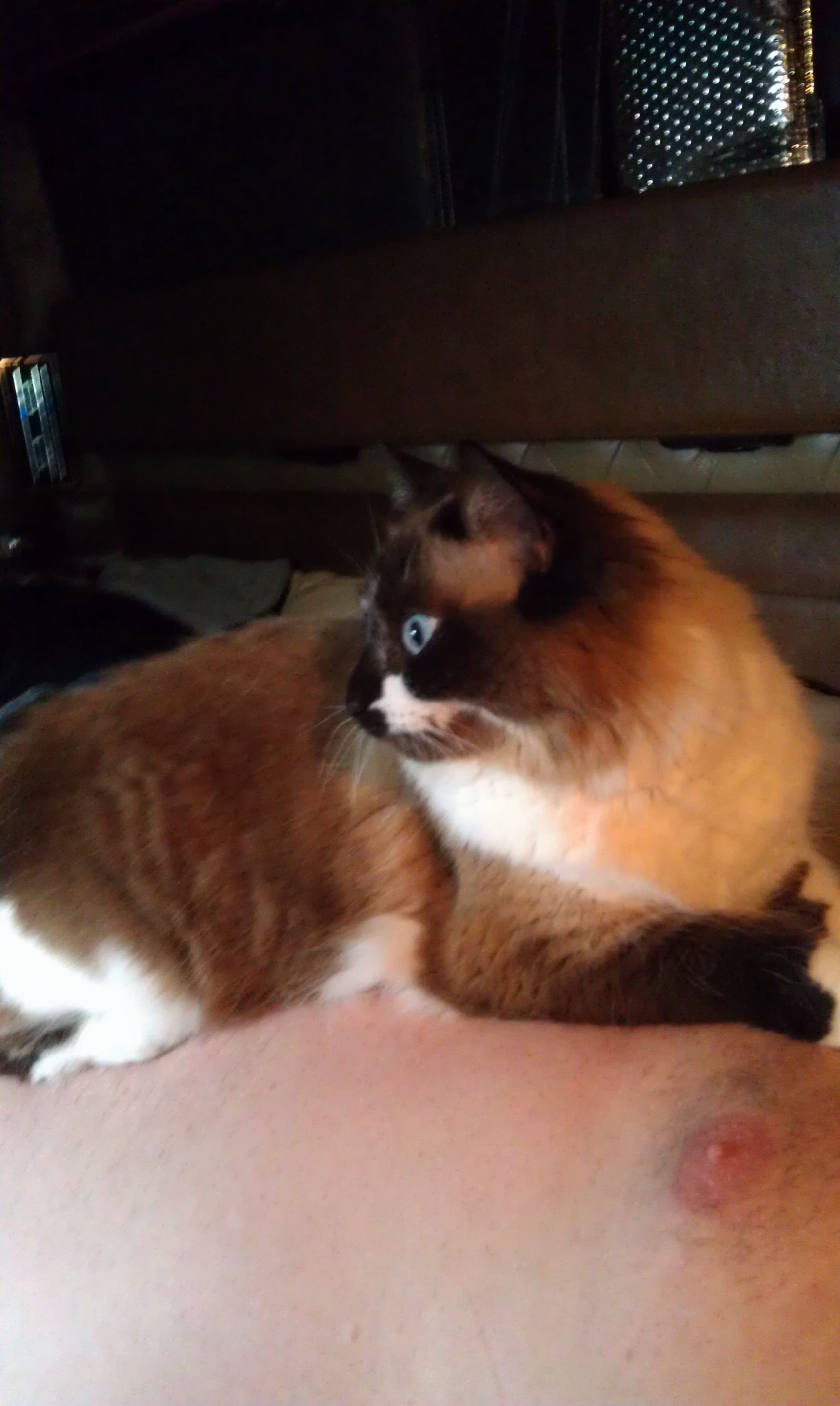 Sammi Sittin'  (2) 4-28-2014.jpg