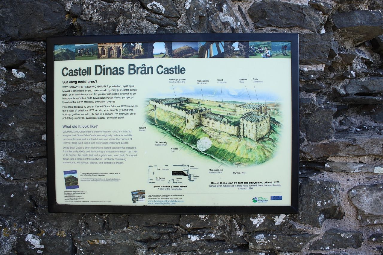 dinas13.jpg