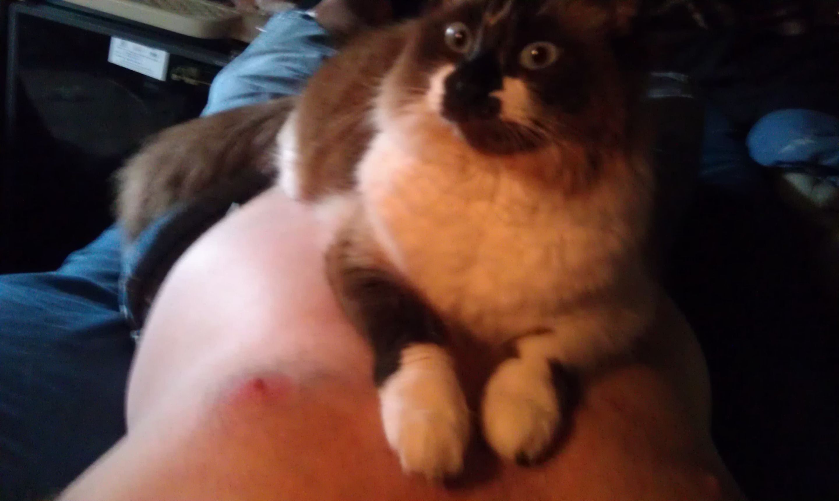 Sammi Sittin'  4-28-2014.jpg