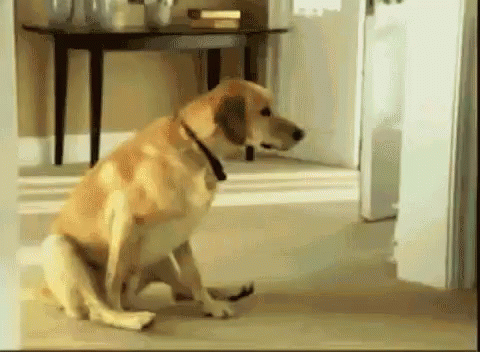 tenor (1).gif