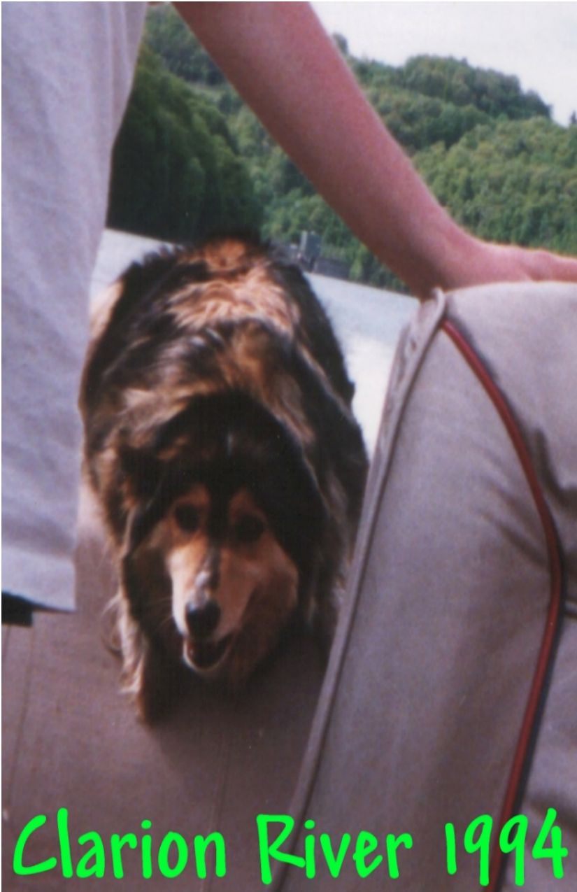 Shawny 1994.jpg