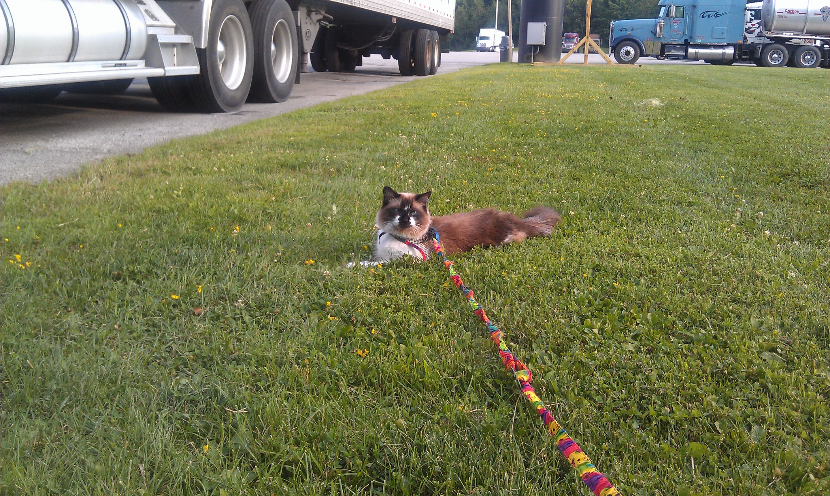 Sammi Sittin' 4-8-2014.jpg