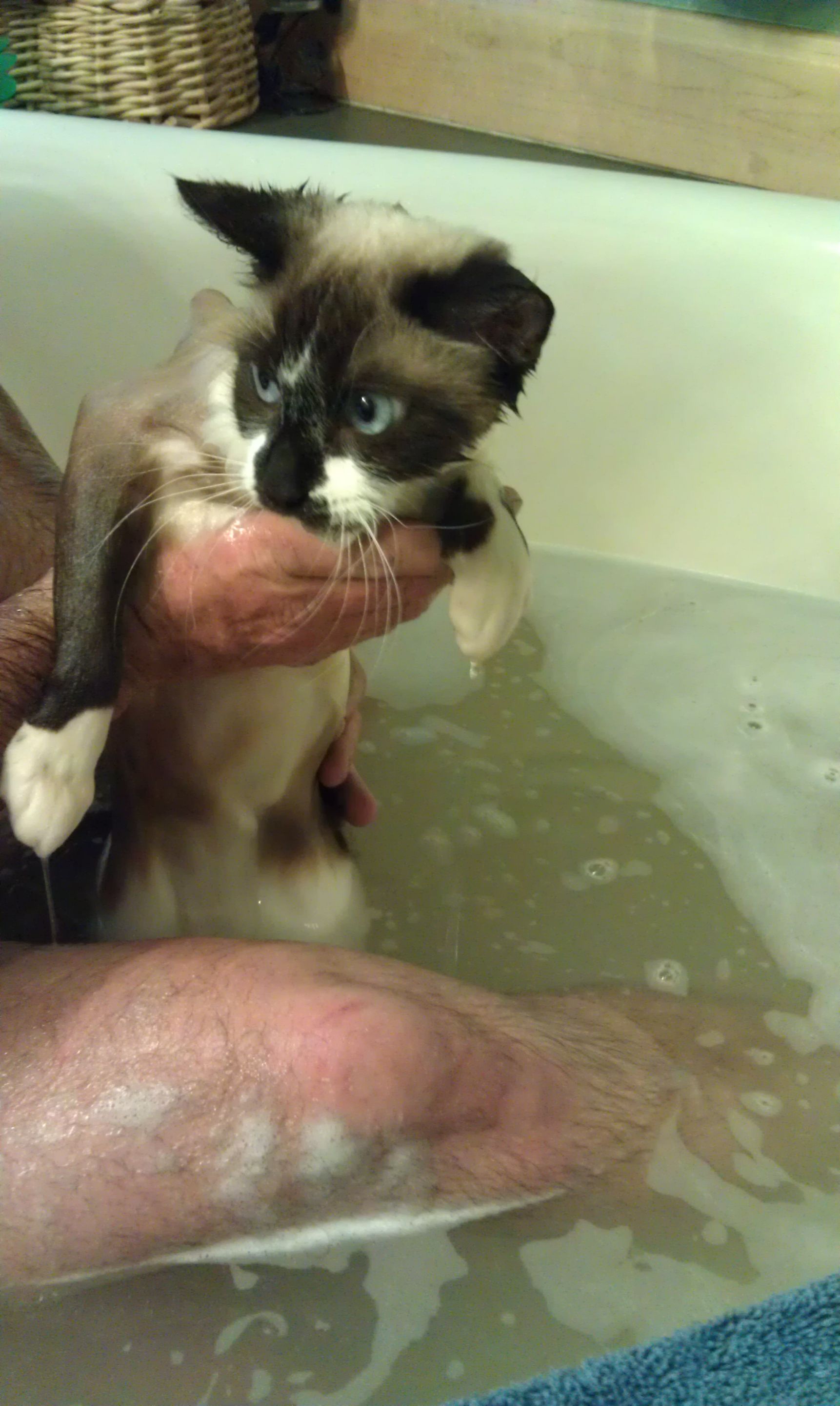 Bath Time Sammi (2) 1-27-2013.jpg