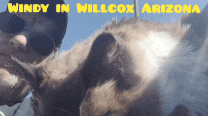 GIF_20250327_082105_031.gif
