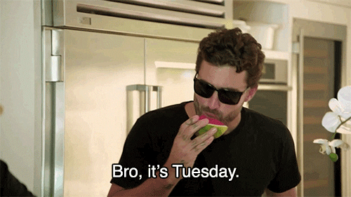 10-Funny-Tuesday-Gifs-To-Start-Your-Day-With-Humor-49991-8.gif