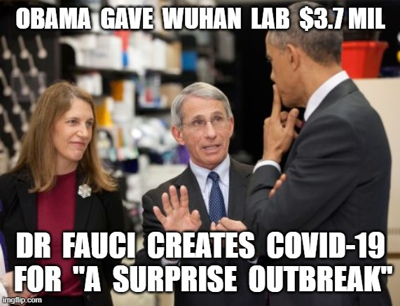 obamghavemillioinstowuhan.jpg