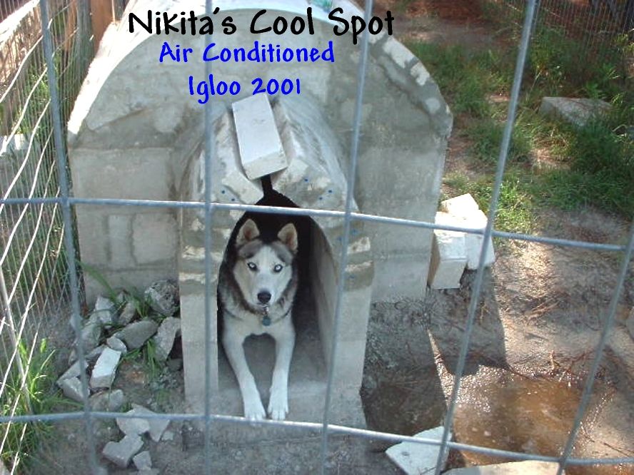 Cool Spot.JPG