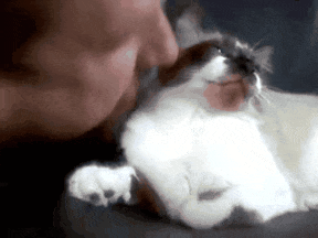 GIF_20250105_205747_931.gif
