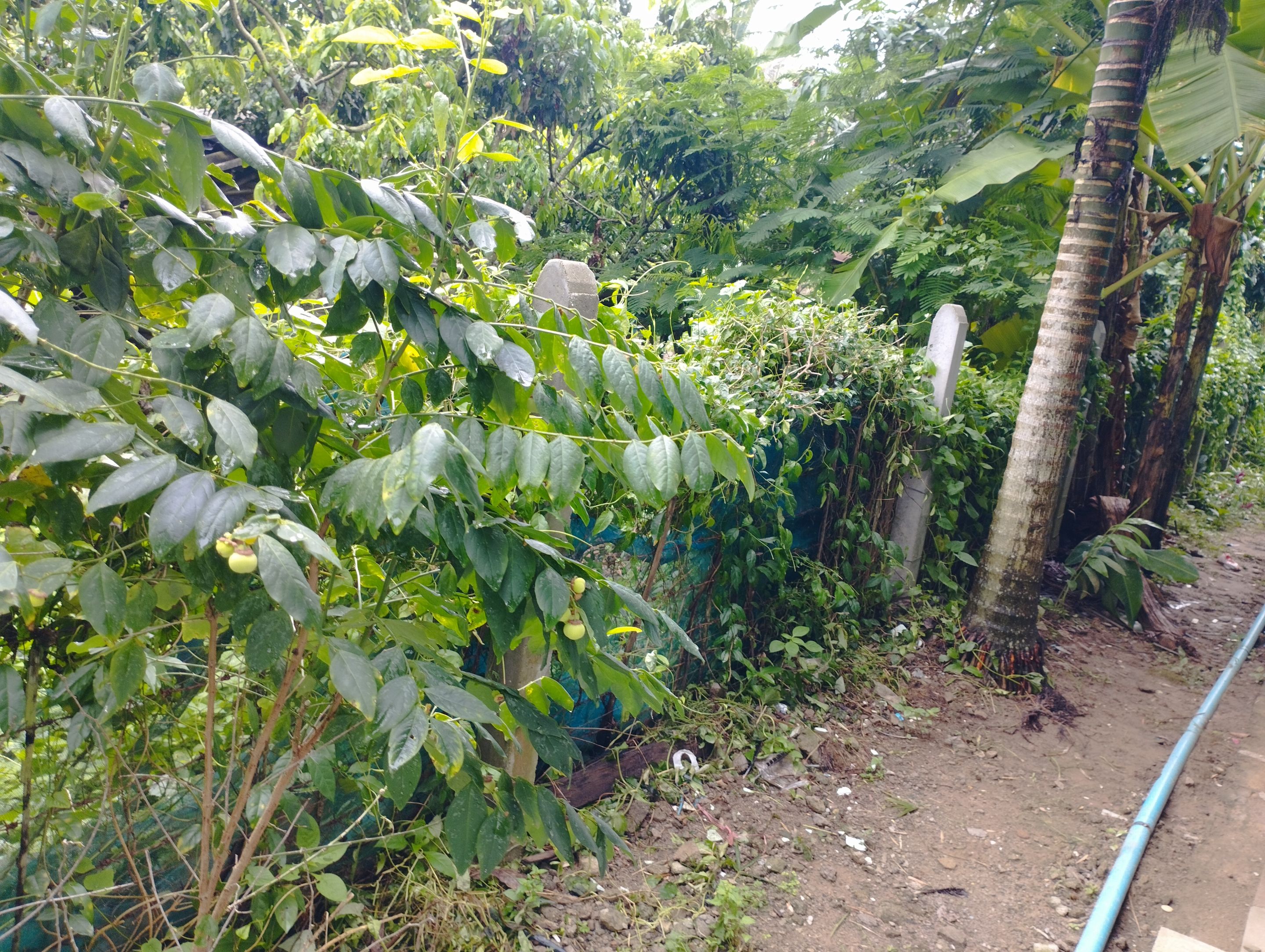 IMG_20230914_093741.jpg