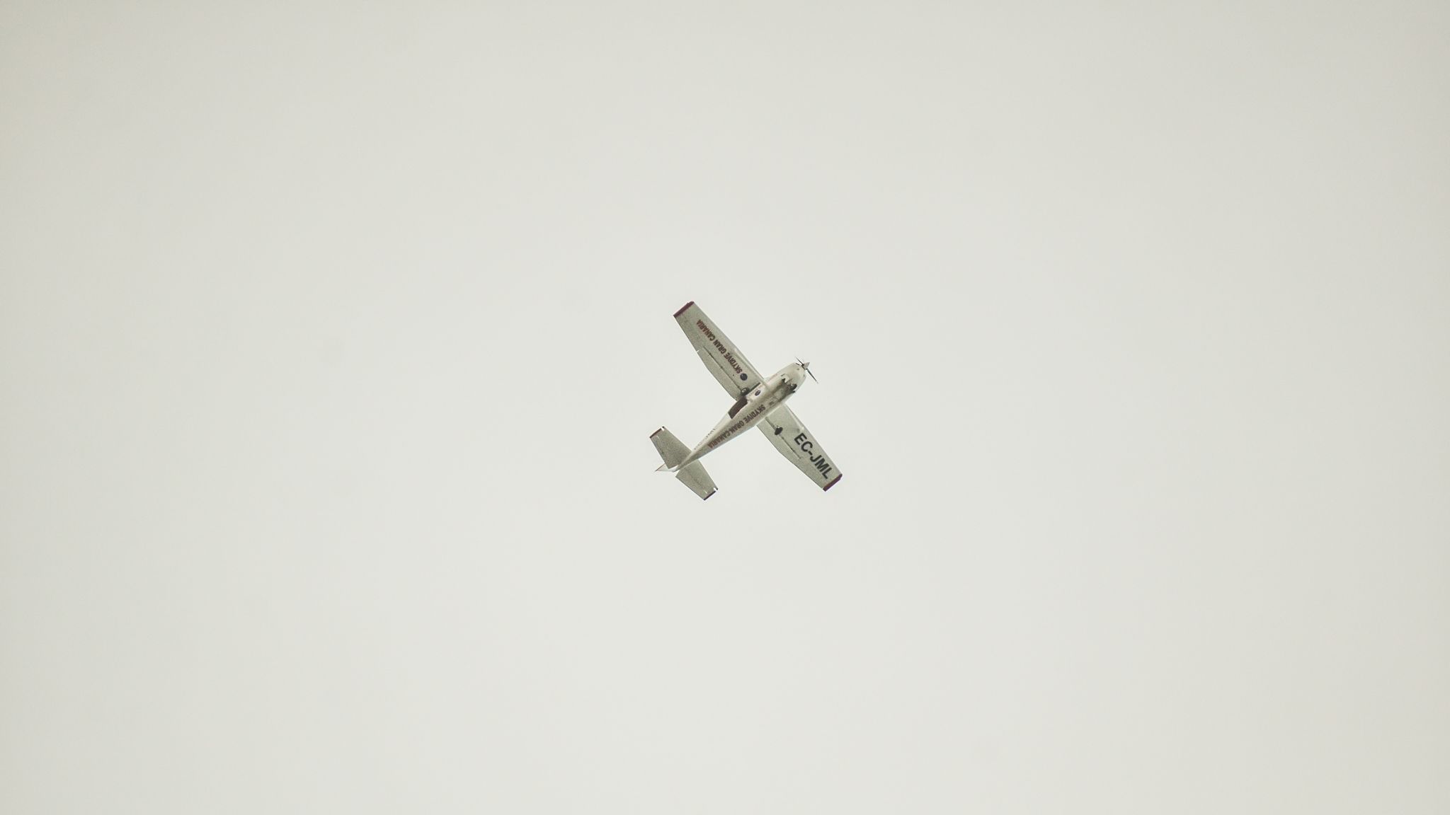 DSC_0797.jpg