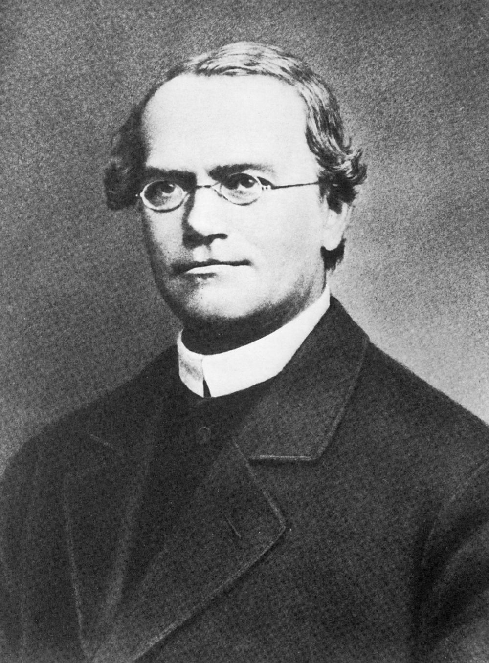 Gregor_Mendel_2.jpeg