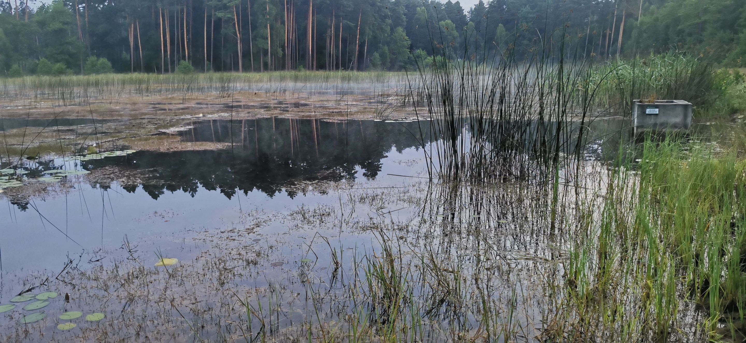 2025-07-19 05.30.56.jpg