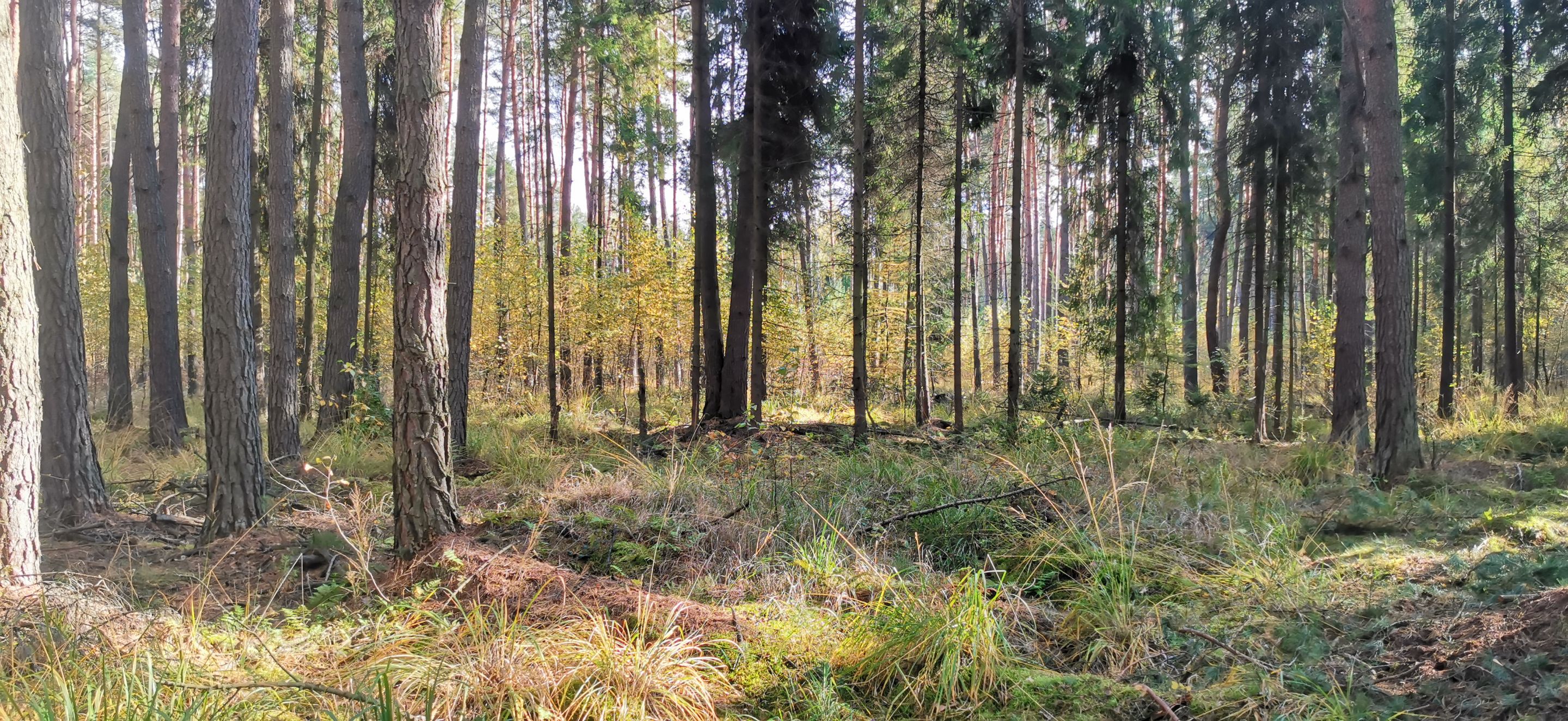 2025-10-19 14.11.22.jpg