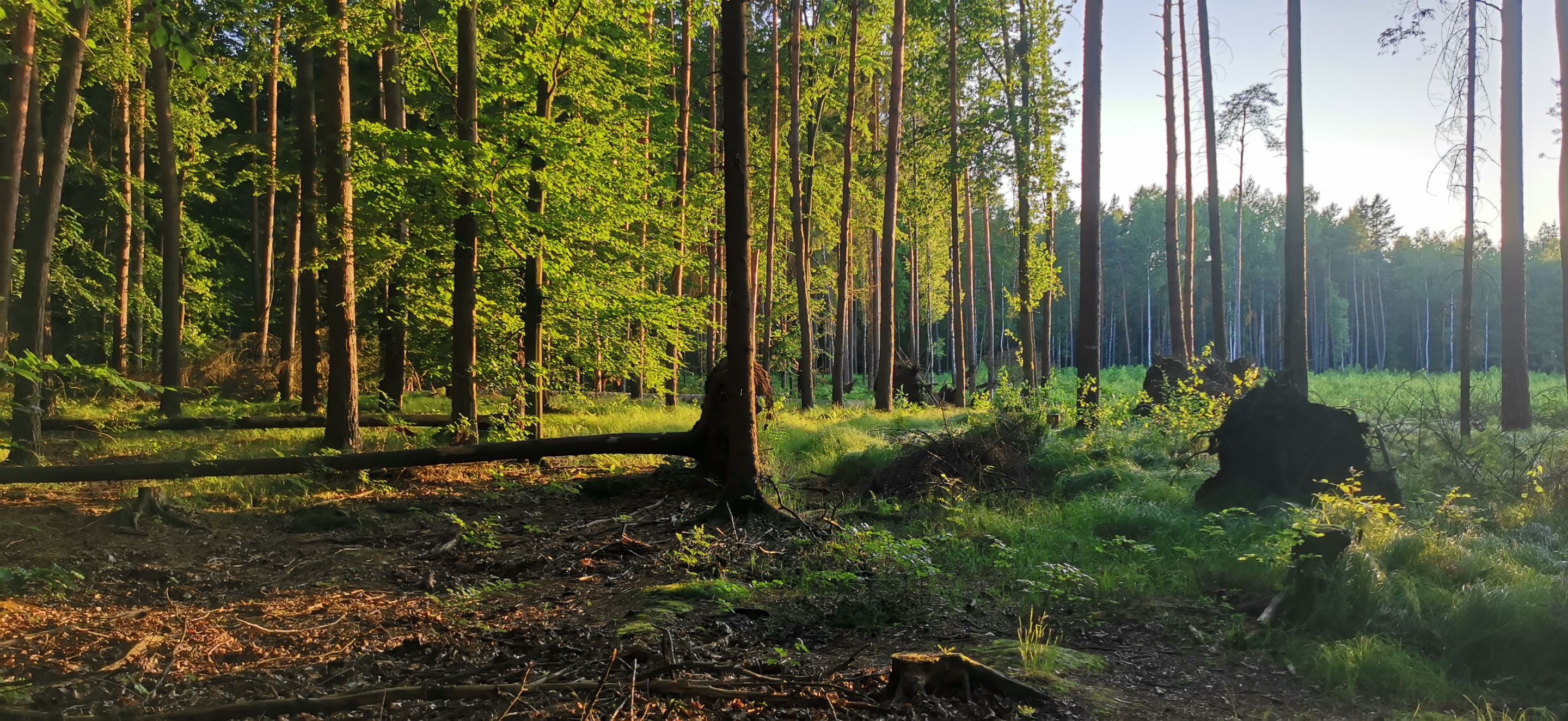 2025-06-22 20.00.23-1.jpg