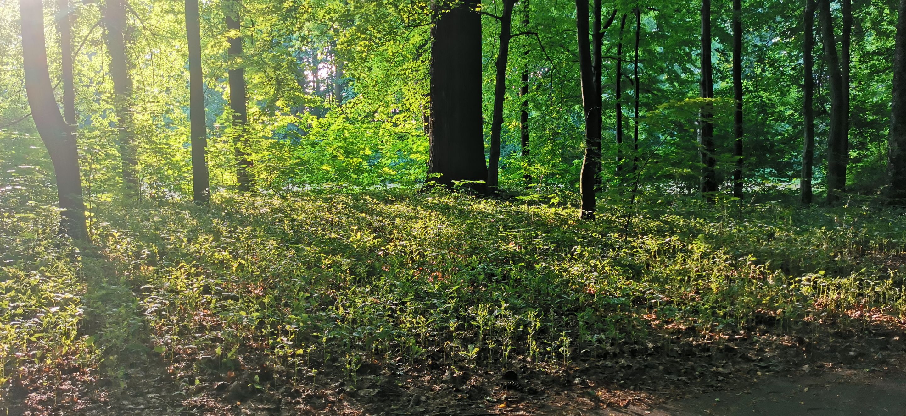 2025-06-22 06.33.19.jpg