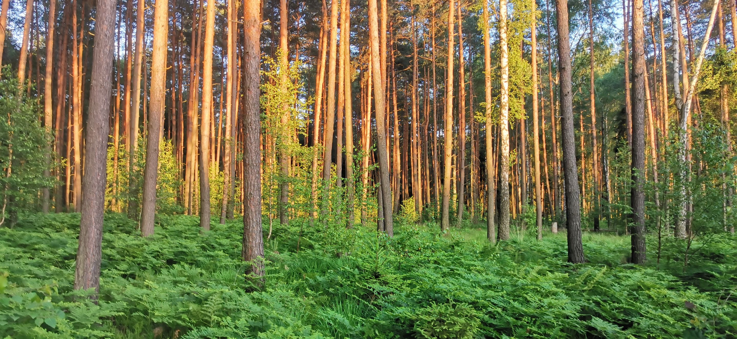 2025-06-22 19.57.43.jpg