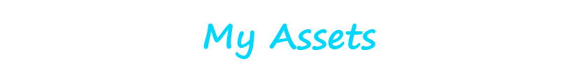 My Assets.png