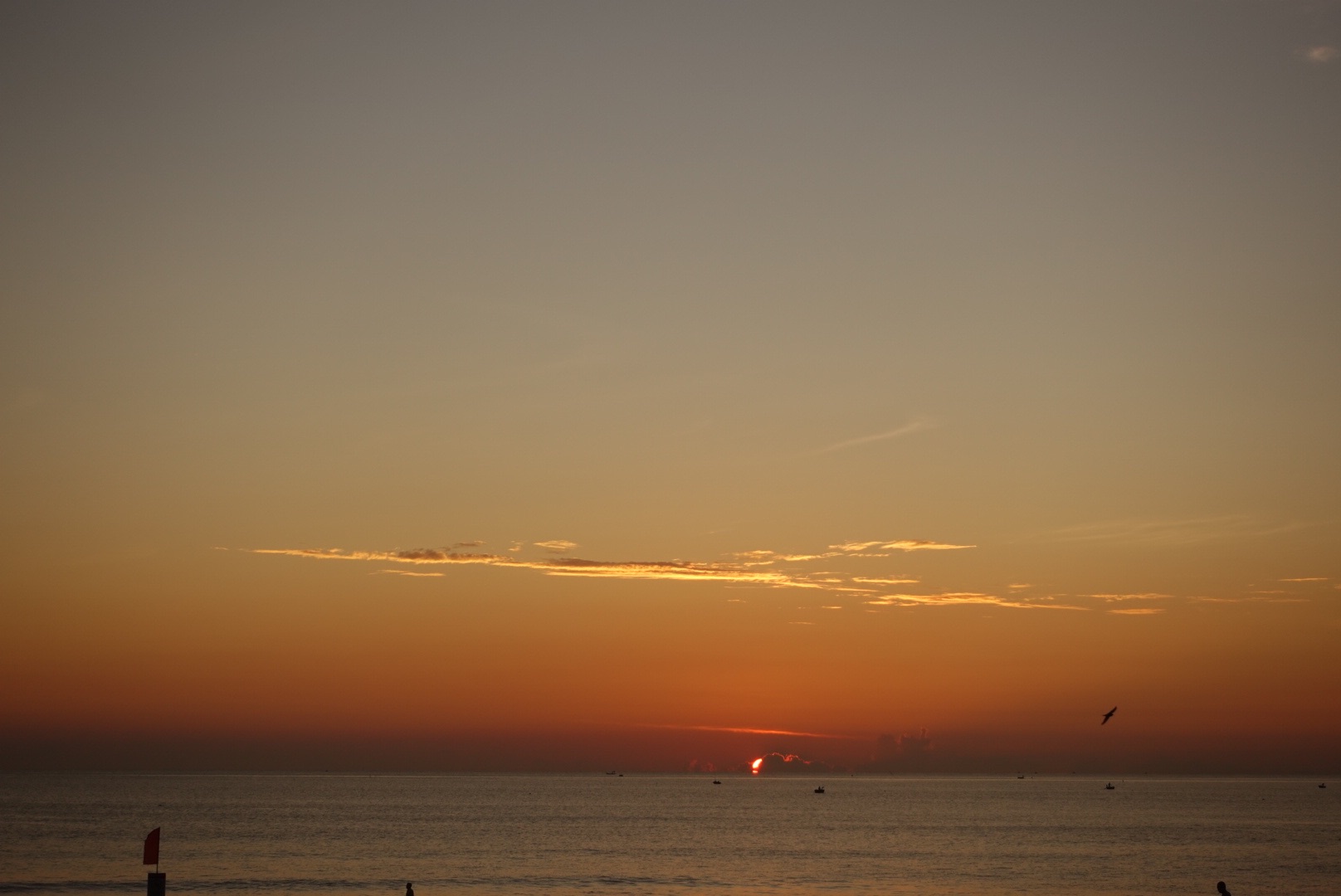 7D461D6D-DFF0-424C-B83A-02A829F7BB33.jpeg