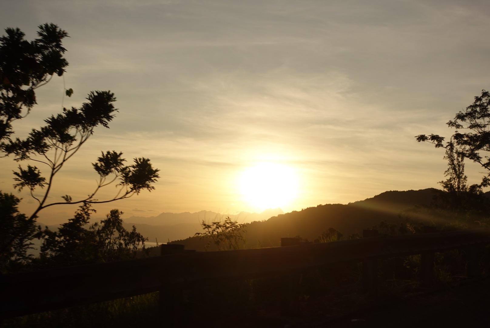 6E925DC3-676C-4A36-B62B-4B9A31B79CA2.jpeg