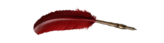 photo_2022-11-02_03-02-39-removebg-preview.png