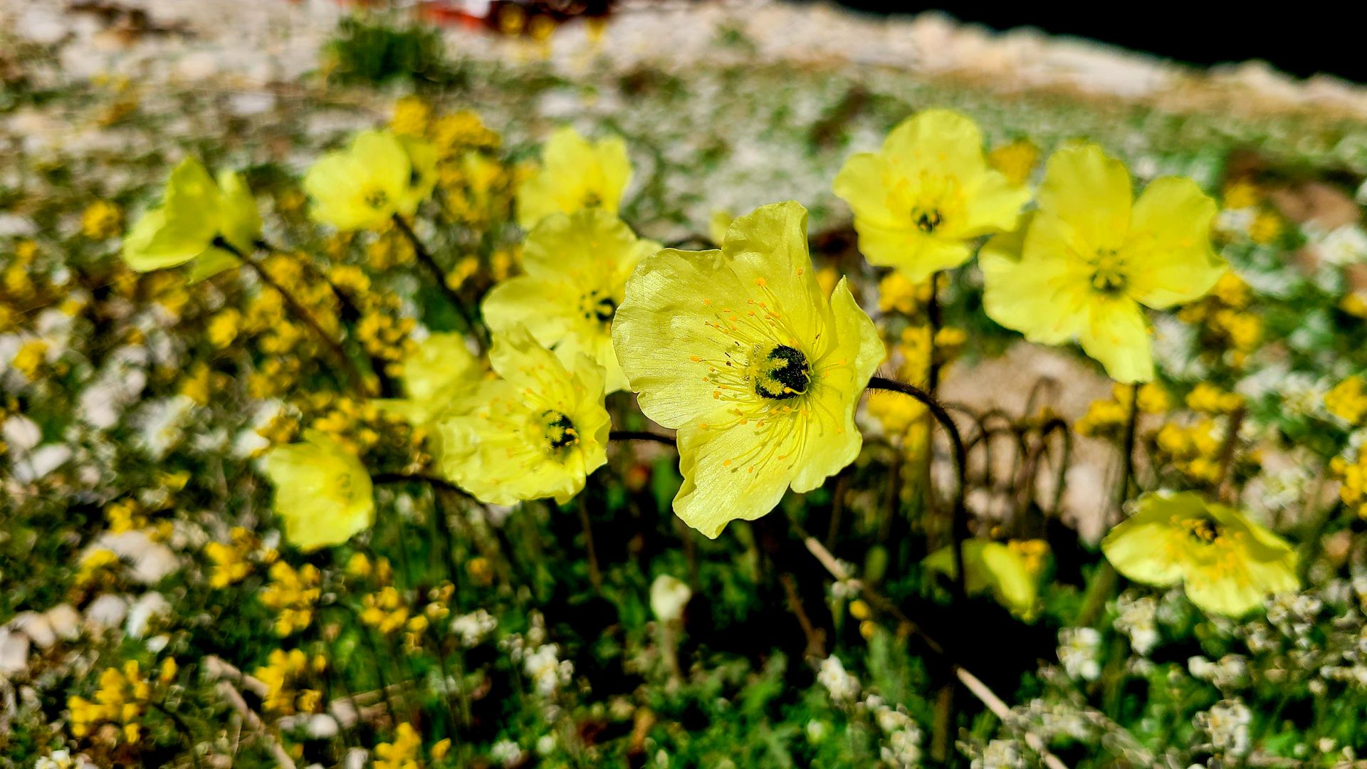 20200709_160424.jpg