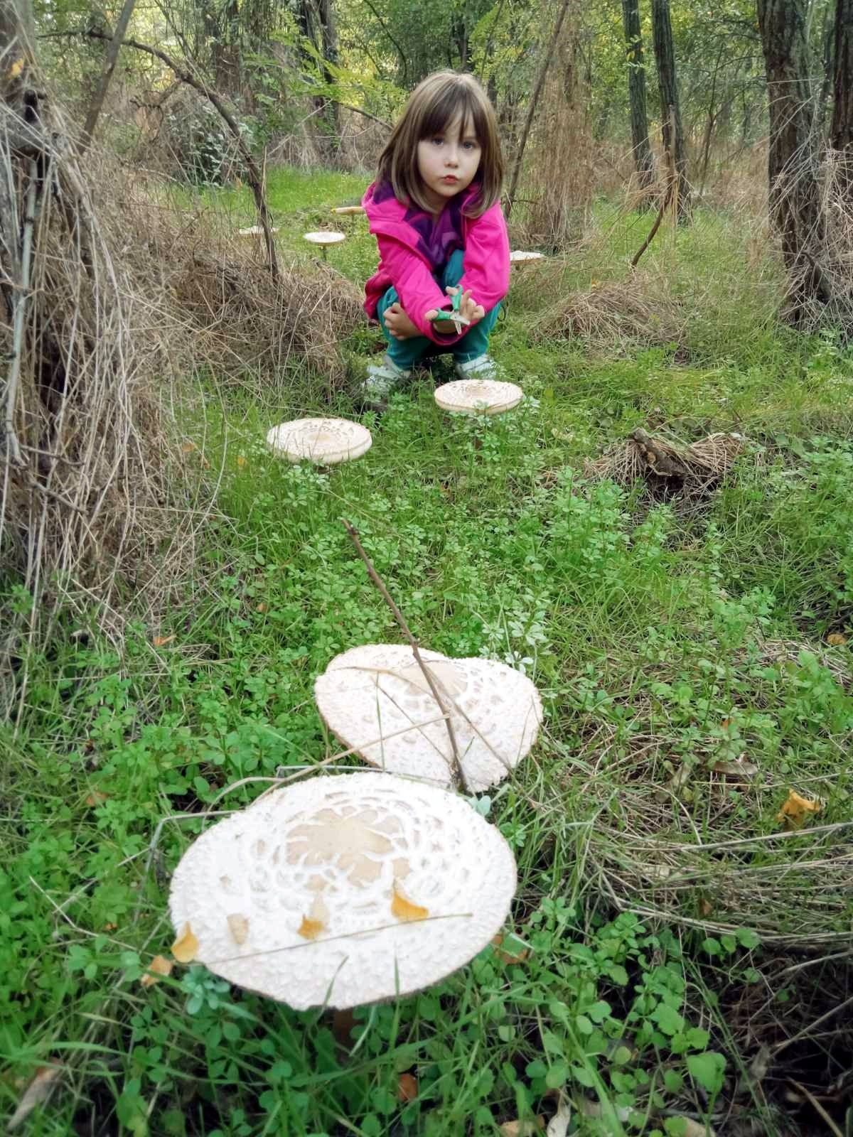 IMG-c6cb9b8725c77037926bb63db881a253-V.jpg