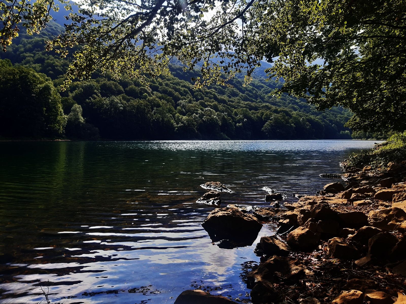 20220710_082609.jpg