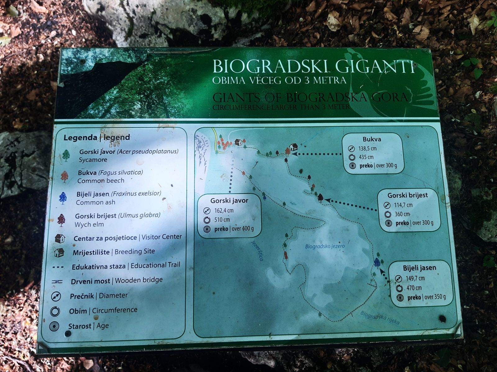 20220710_084007 (1).jpg