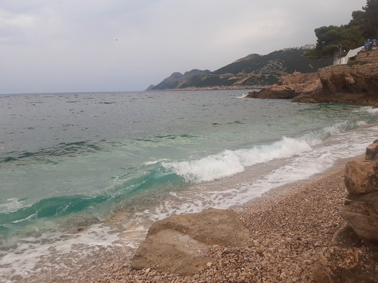20220708_103039.jpg