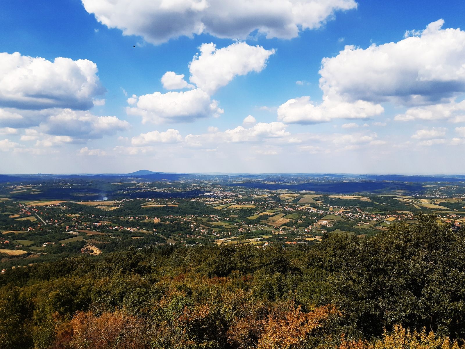 20210905_144356.jpg