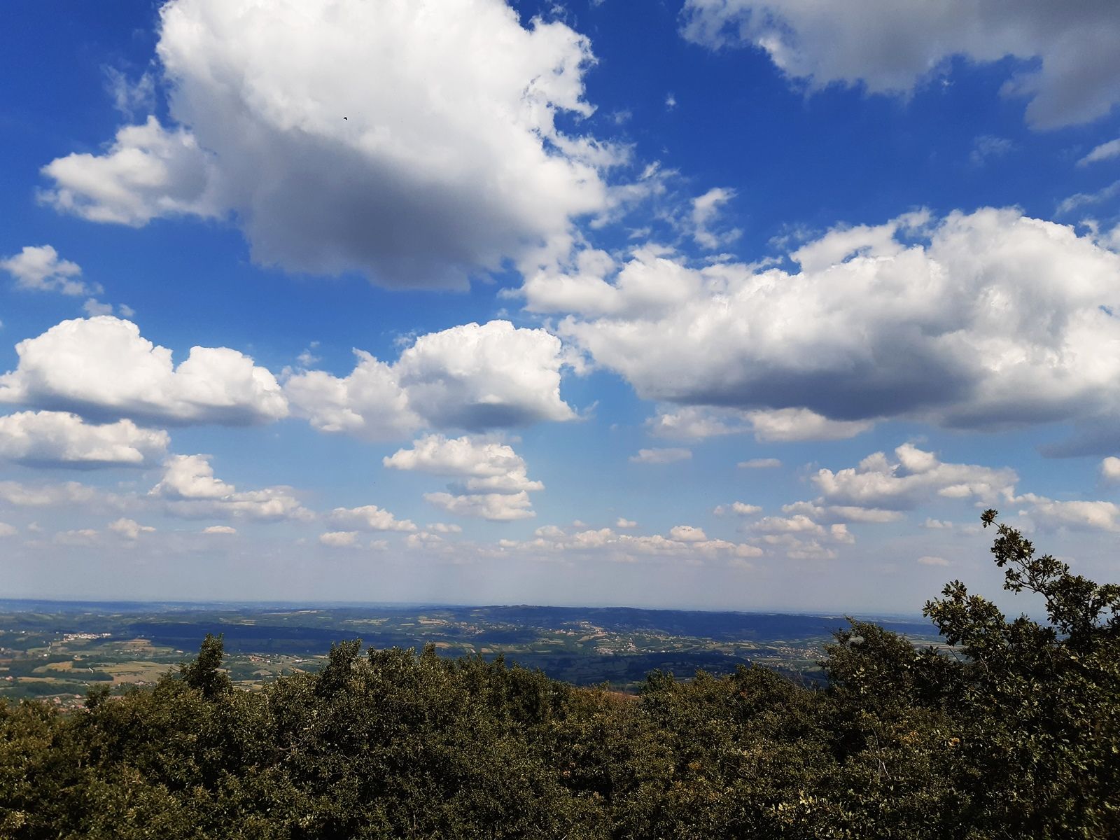 20210905_144531.jpg