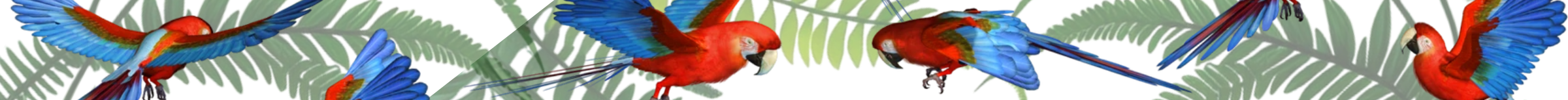 $1