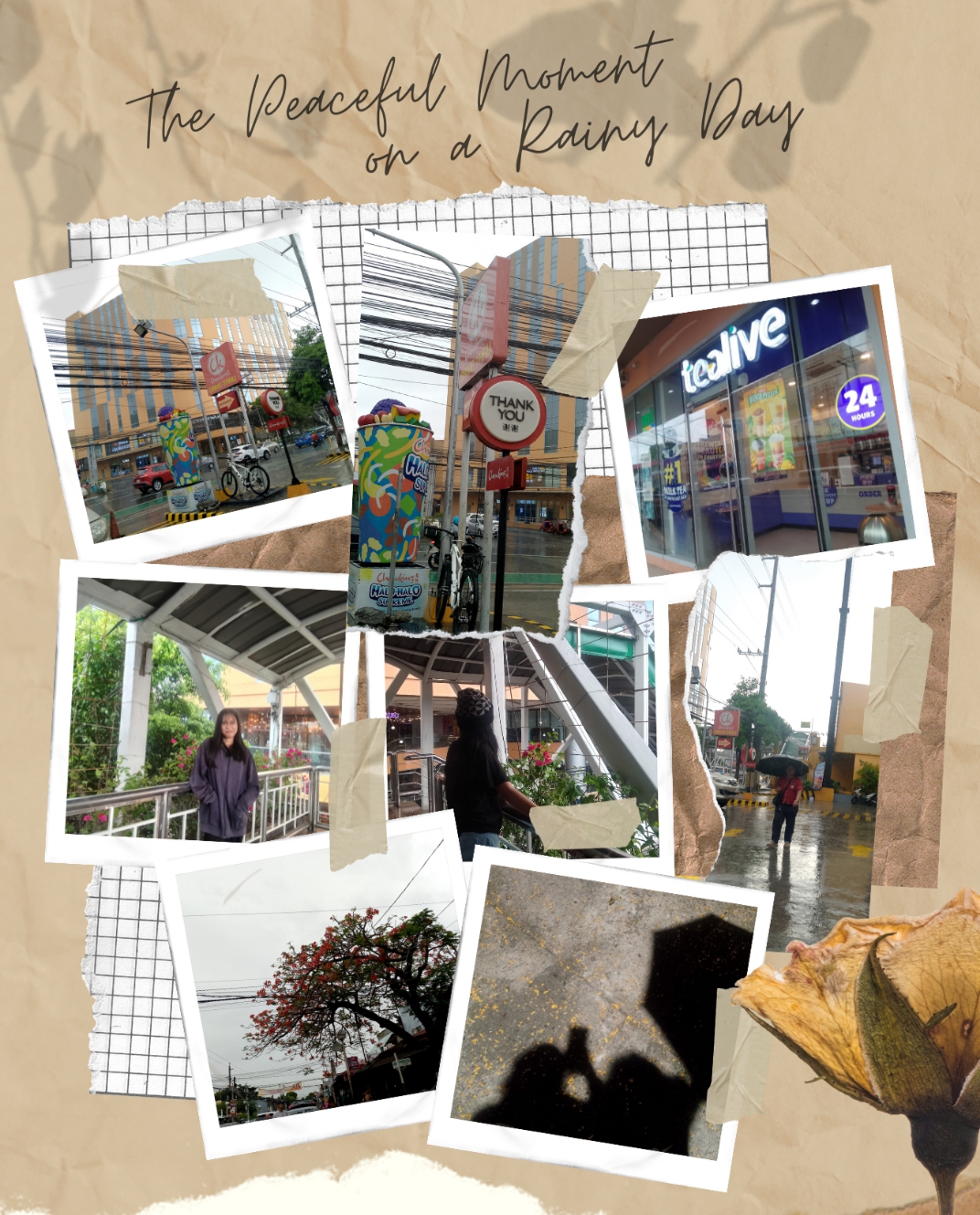 Beige Elegant Minimalist Travel Scrapbook Photo Collage (Portrait)_20250612_111757_1.png