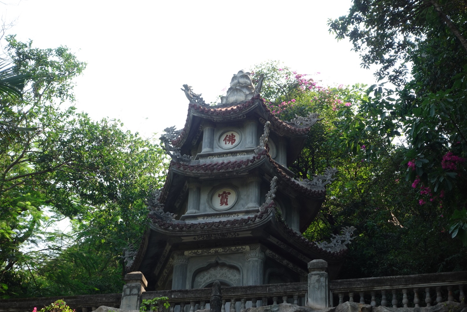 DSC09041.jpeg
