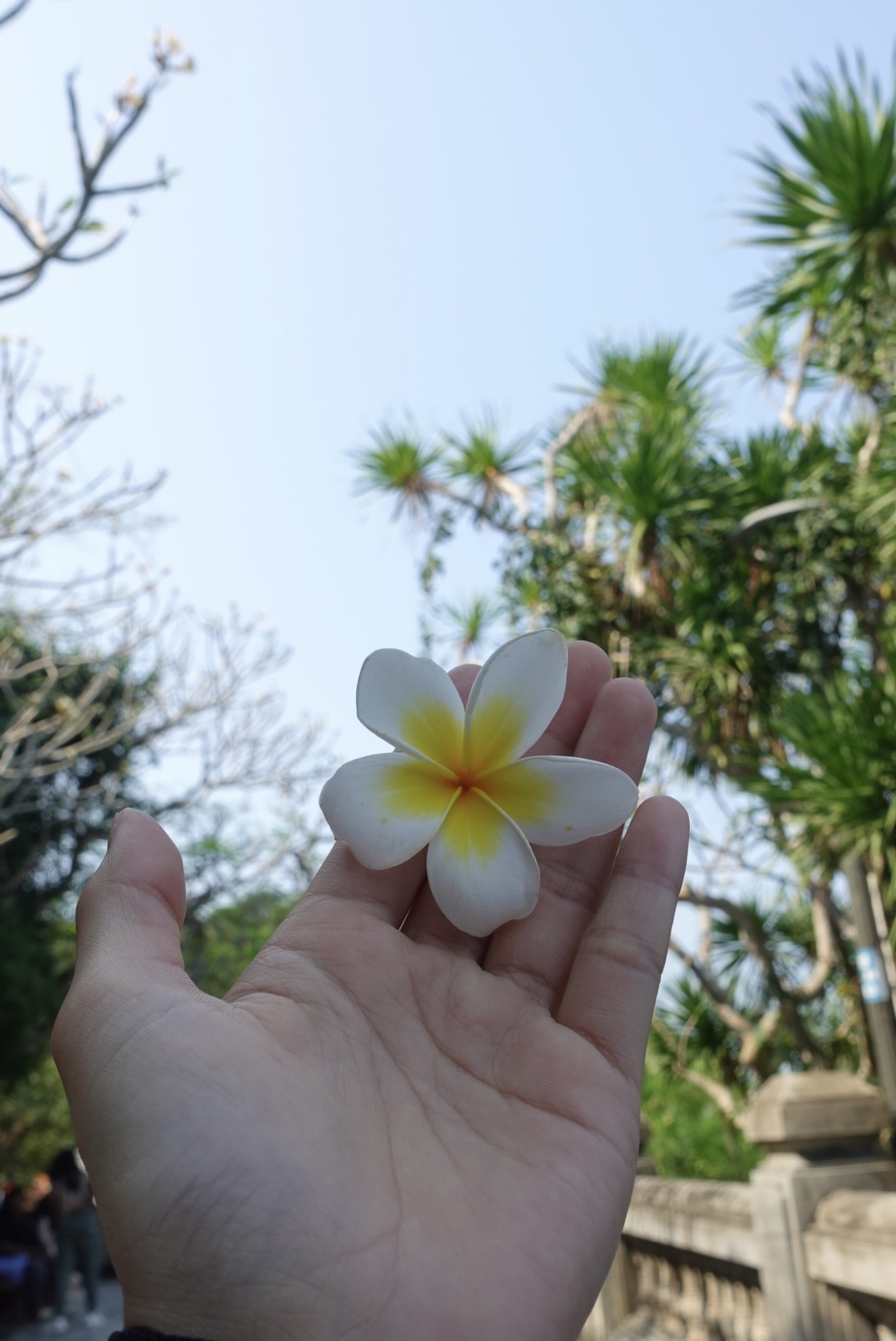 DSC09060.jpeg