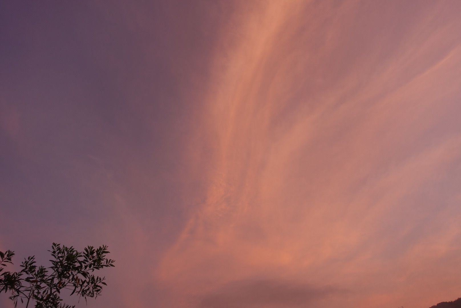 991D4431-5EEC-4E03-A3F8-A56B01AF9CDD.jpeg