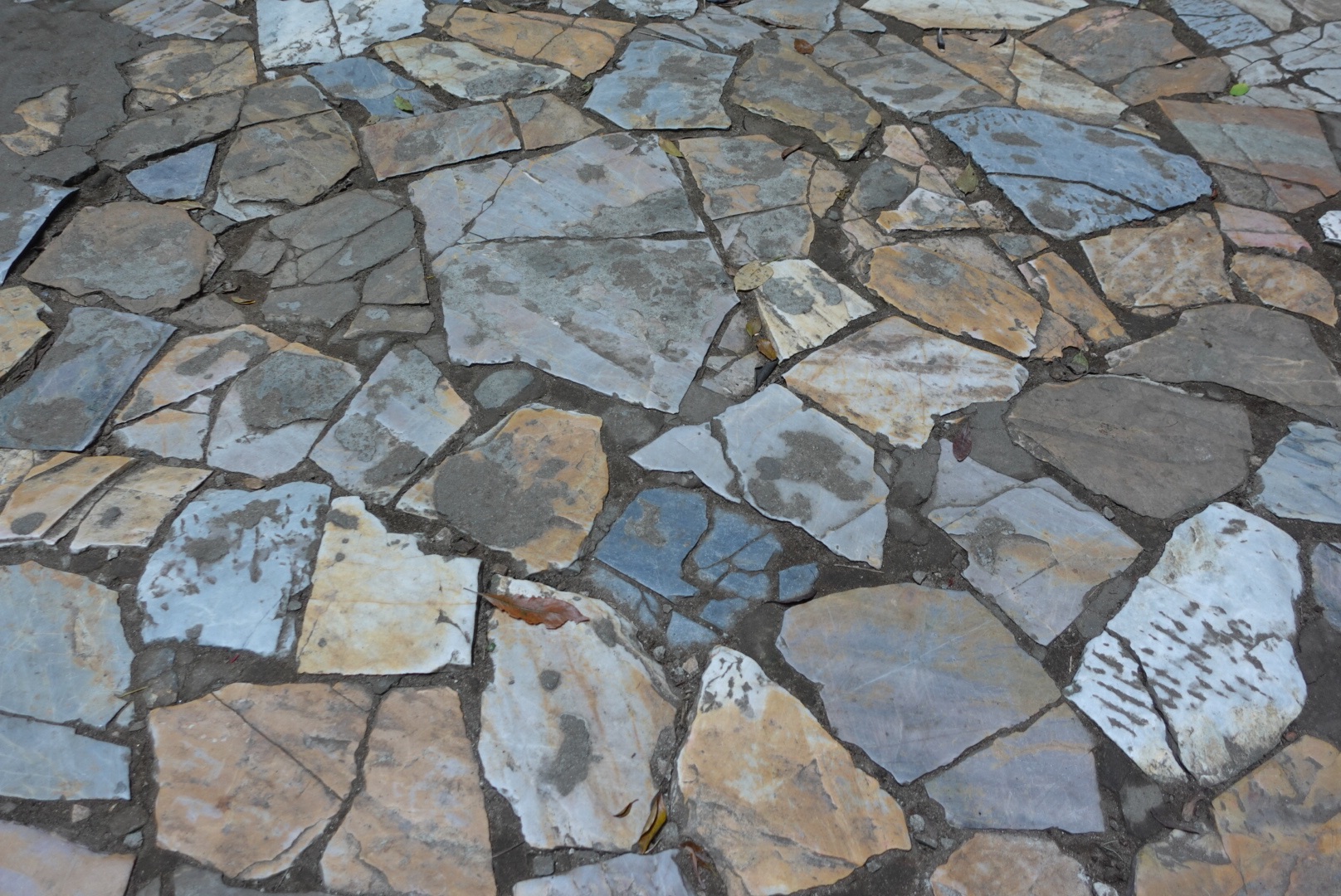 DSC09029.jpeg