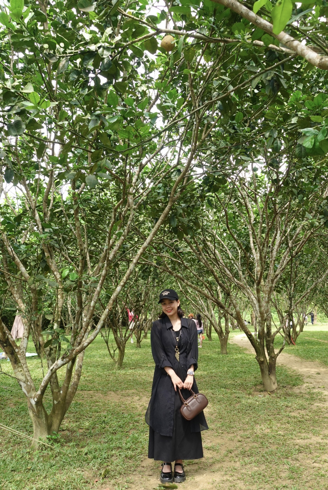 DSC08217.jpeg